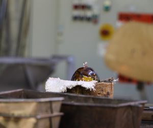 Schuetzenausflug_09092018-09